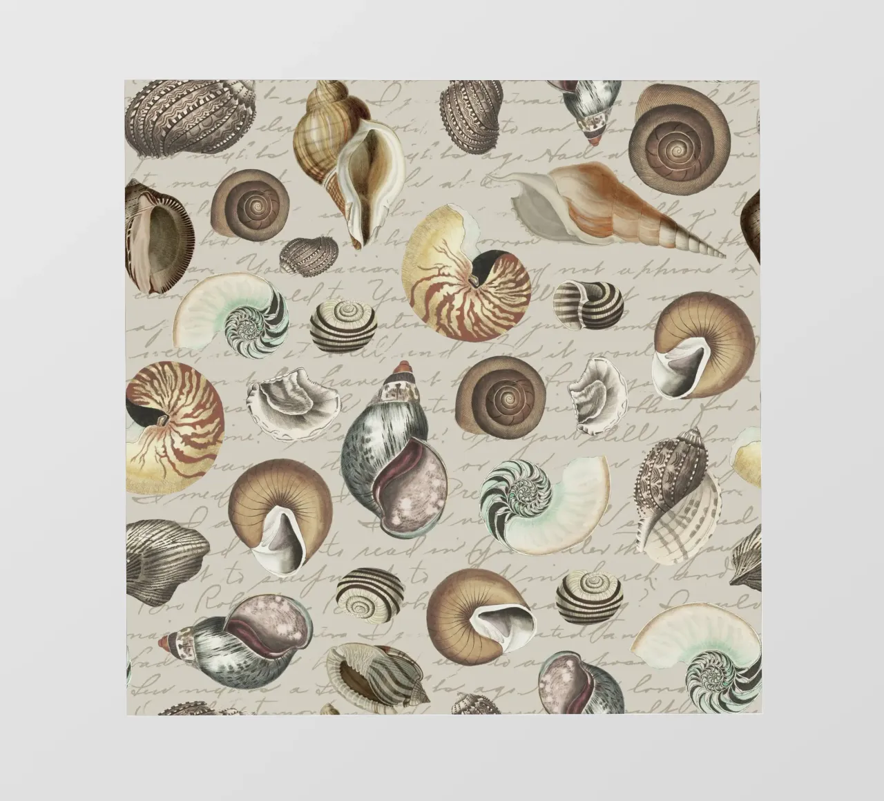 Conchiglie nostalgiche Beige pellicola backlit da Andrea Haase Vintage World