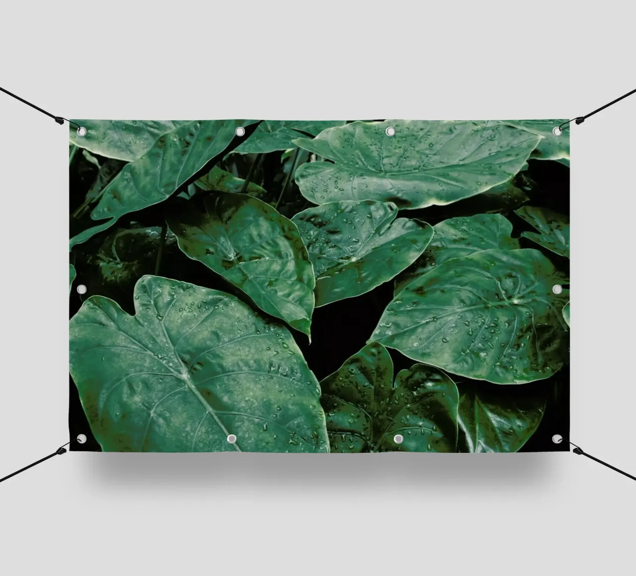 Leaves II telo in pvc da Elena Veronese