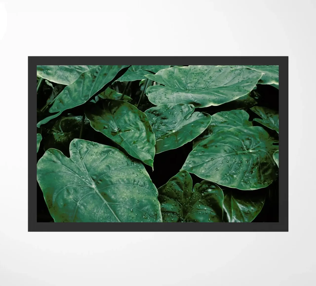 Leaves II zerbino da Elena Veronese