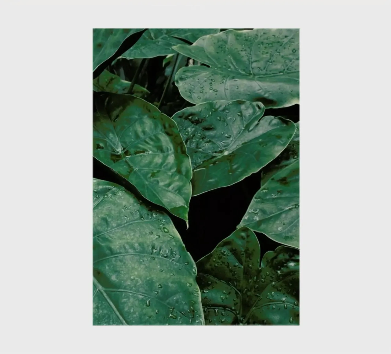 Leaves II notebook by Elena Veronese
