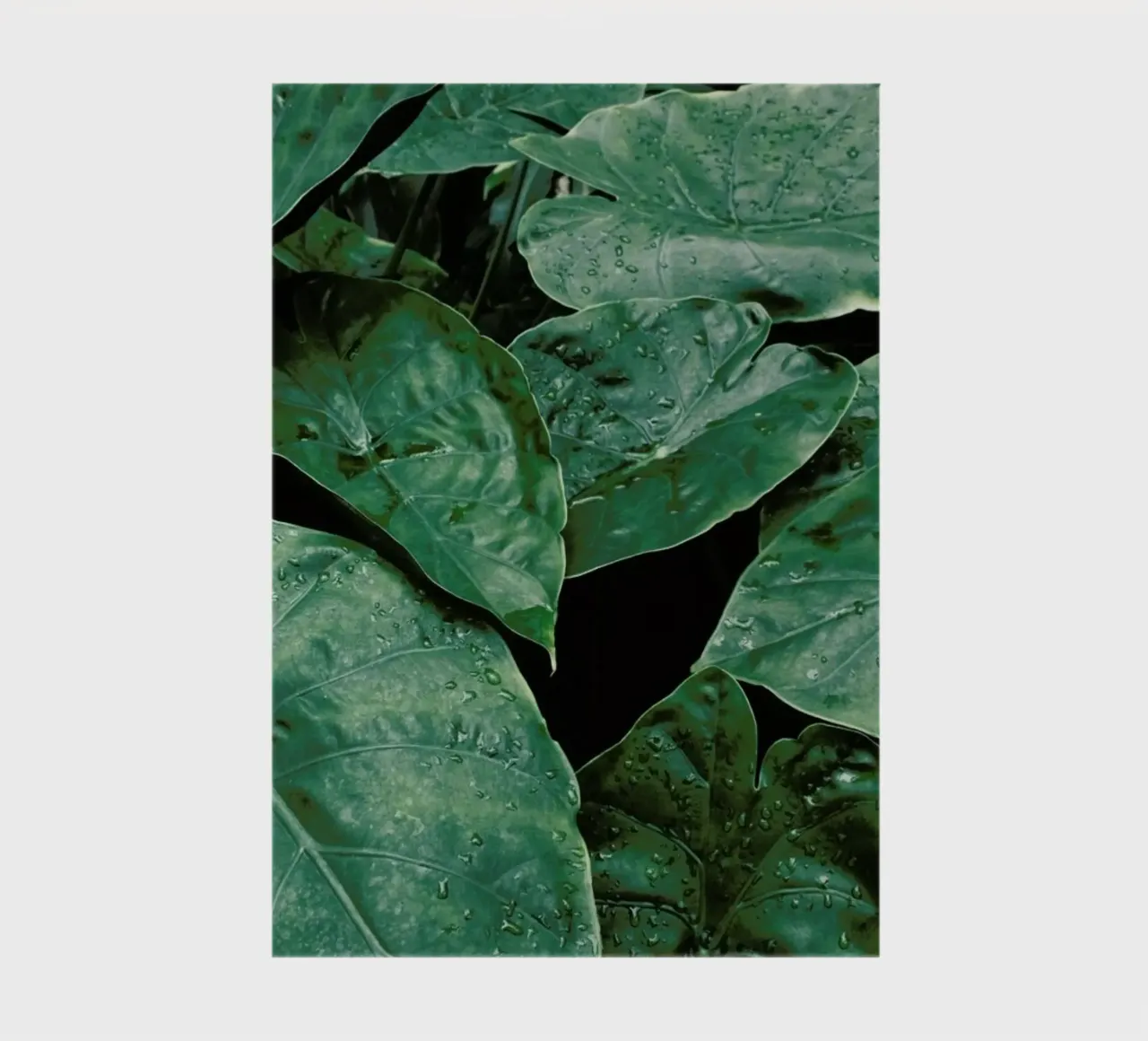 Leaves II notebook by Elena Veronese