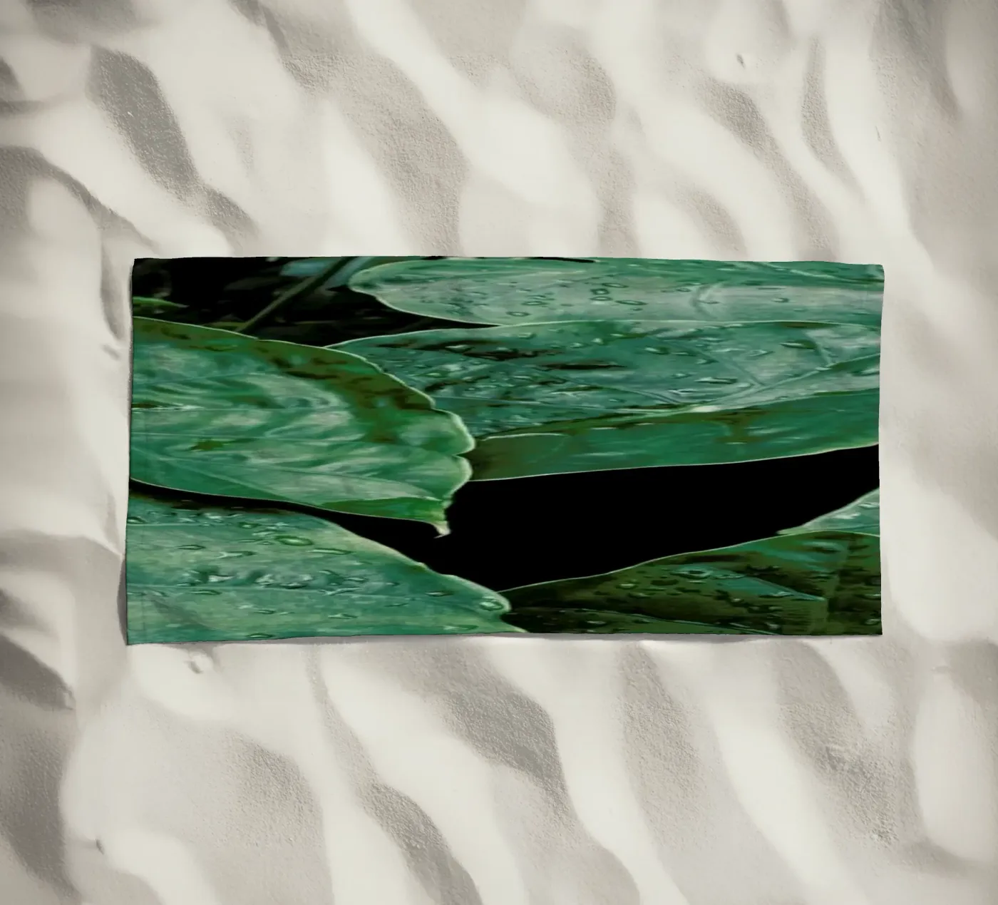 Leaves II telo mare da Elena Veronese