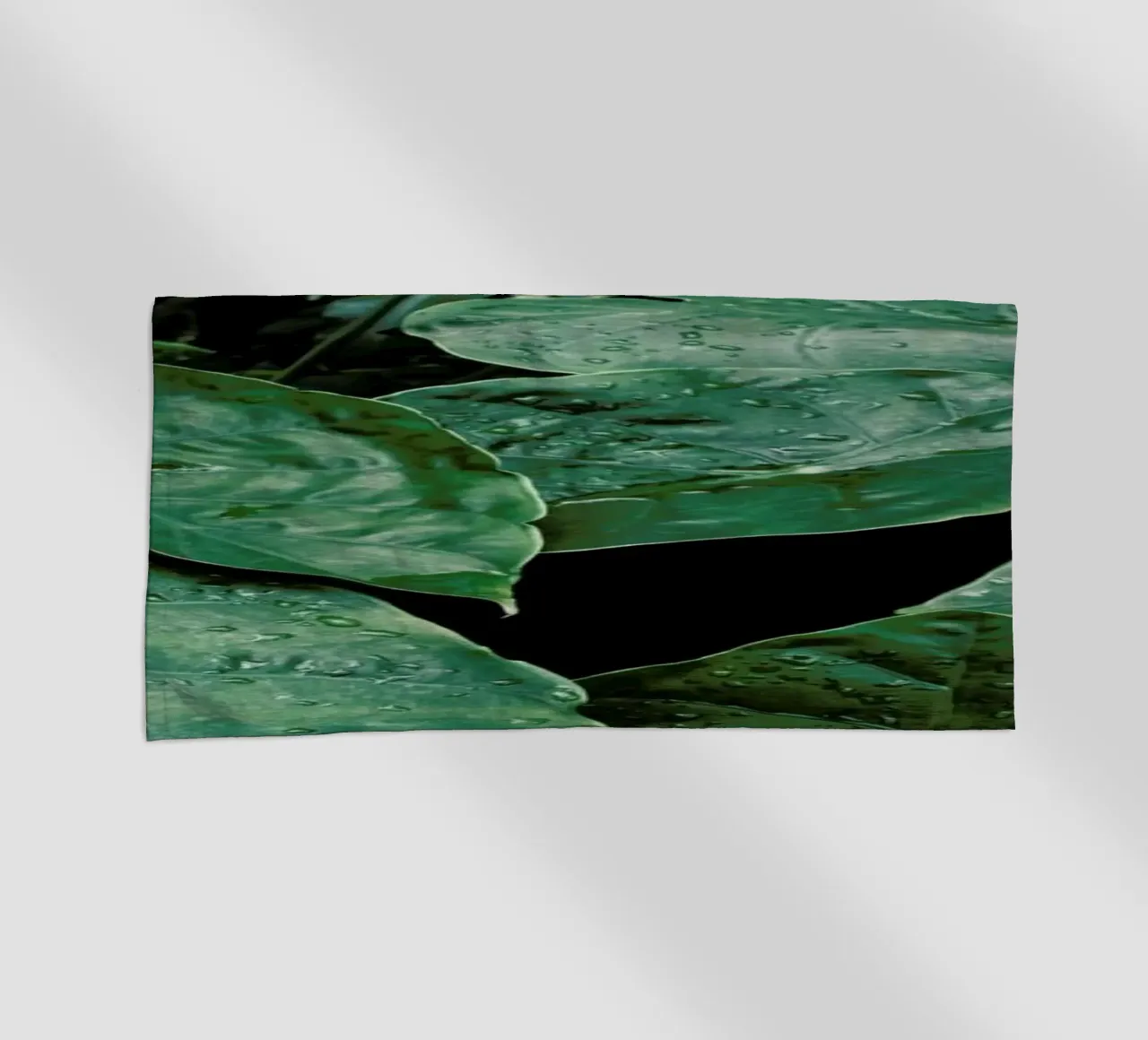 Leaves II telo mare da Elena Veronese