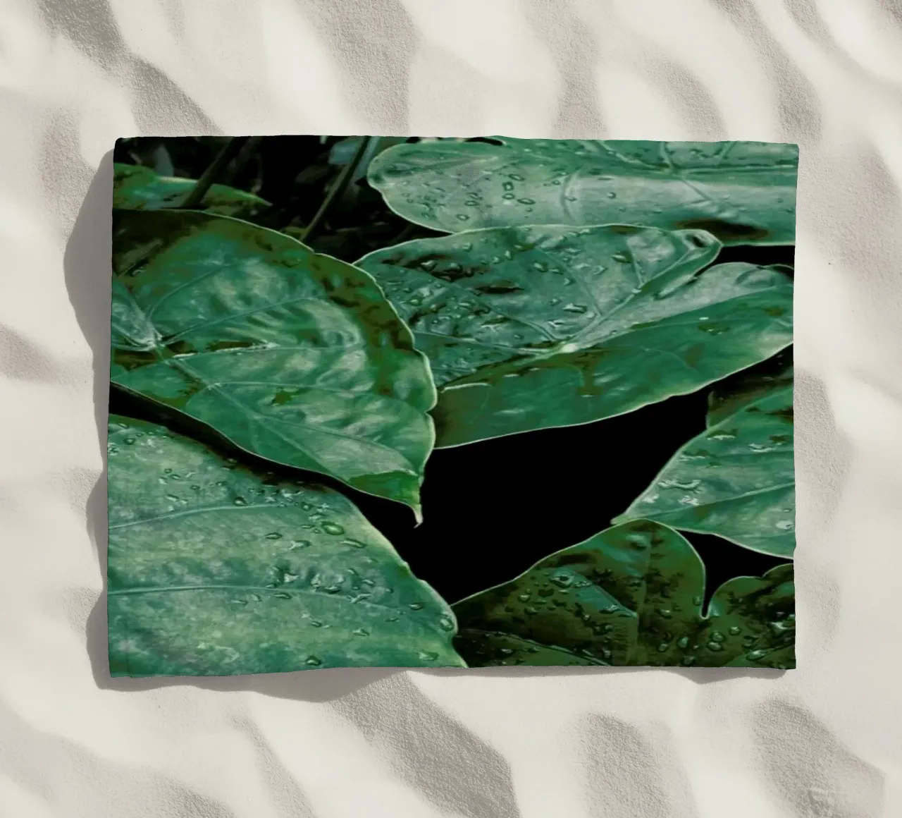 Leaves II telo mare da Elena Veronese
