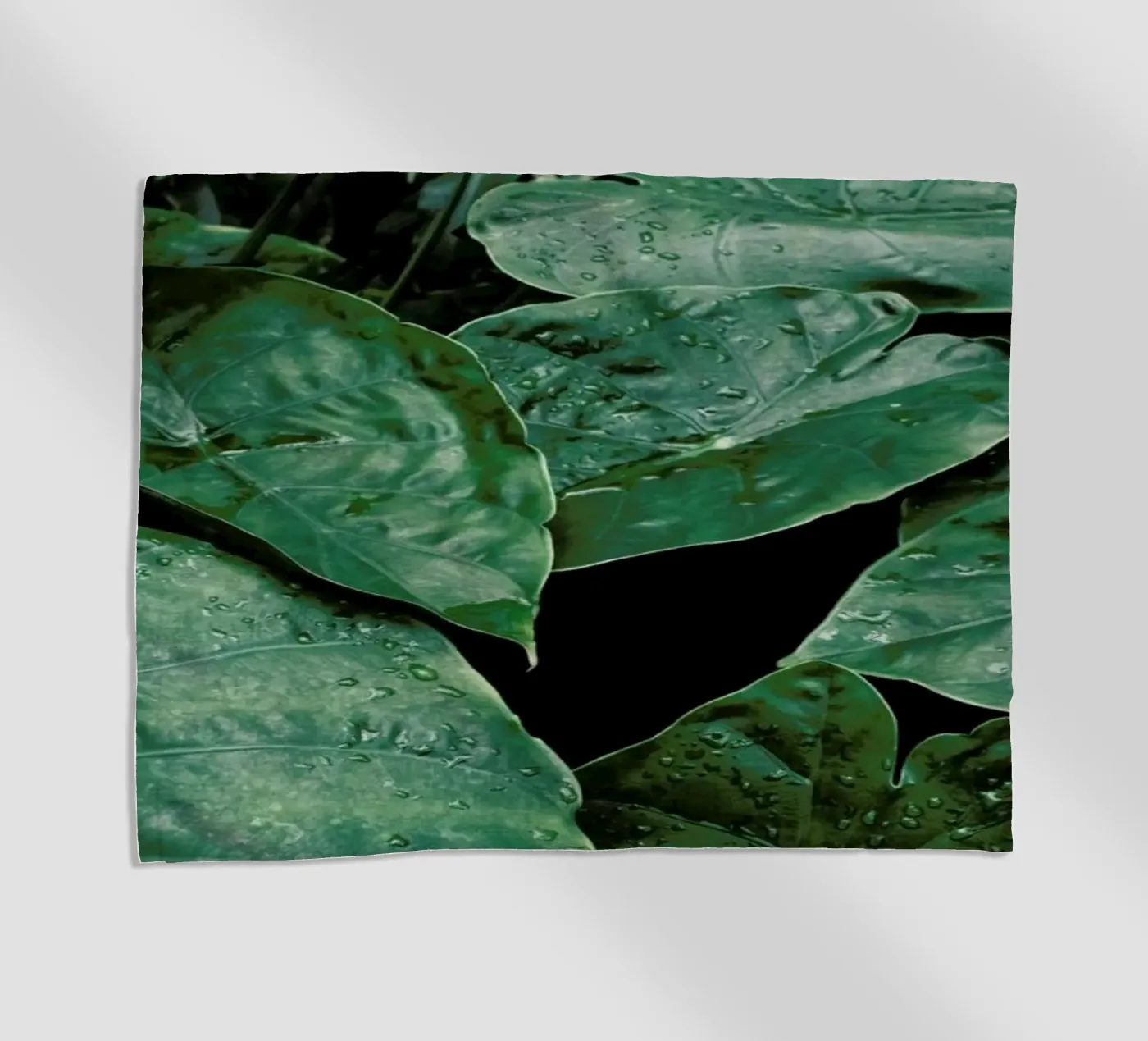 Leaves II telo mare da Elena Veronese