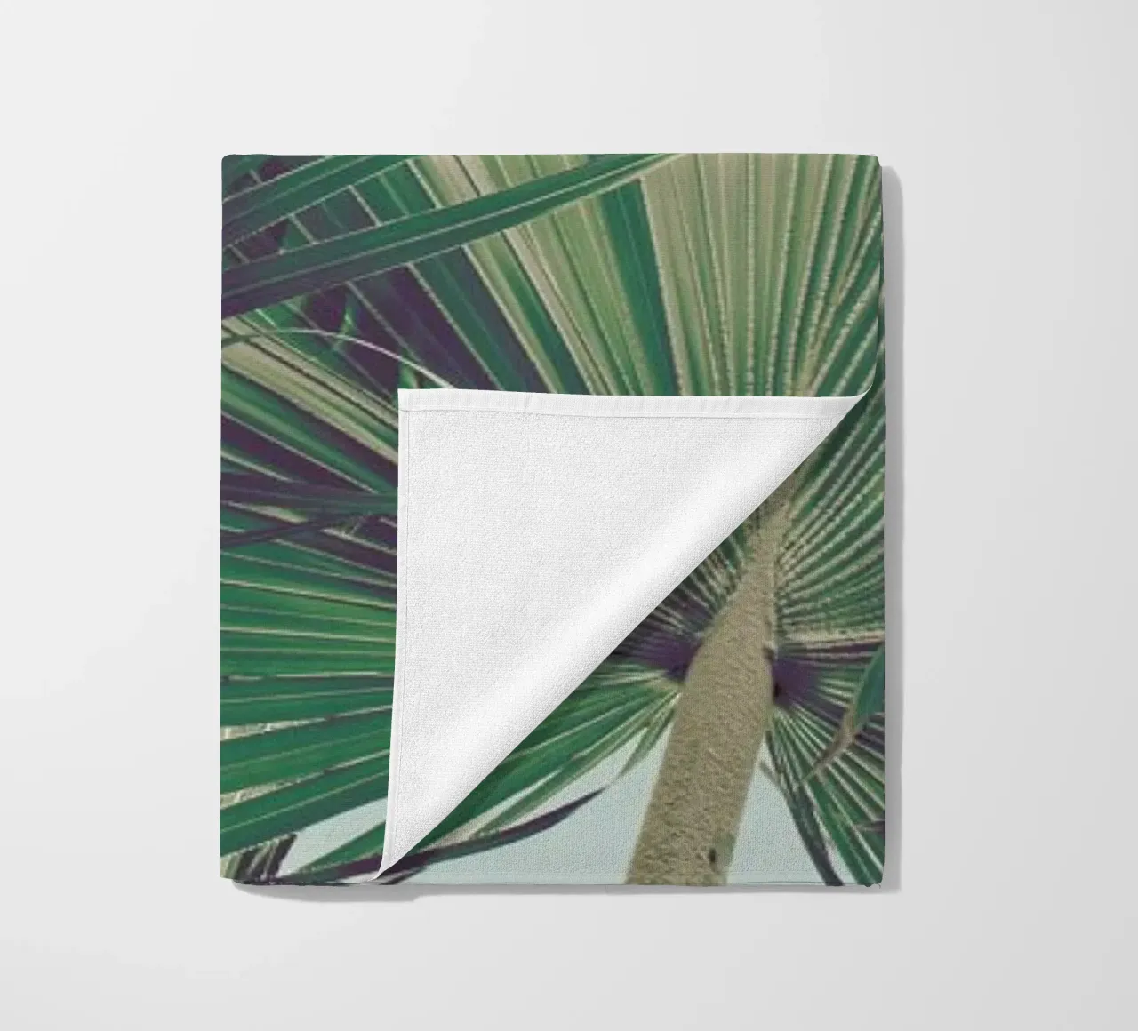 Palm I telo mare da Elena Veronese