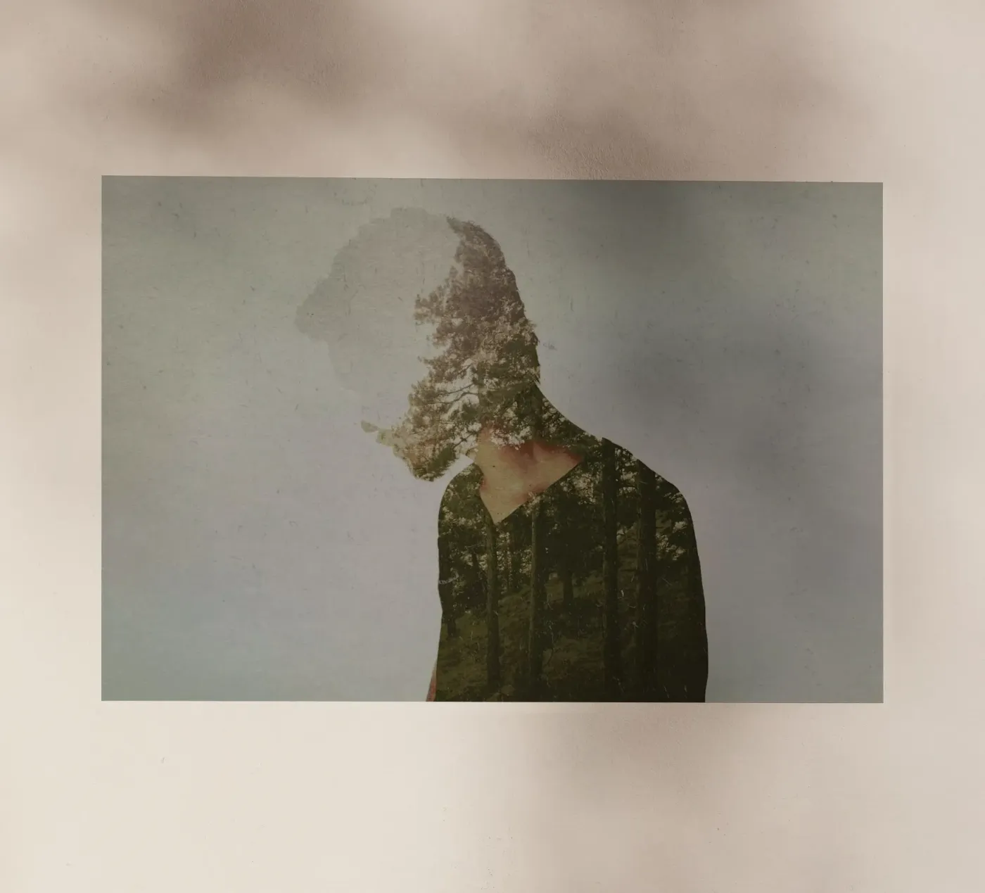 Escape pellicola backlit da Davies Babies