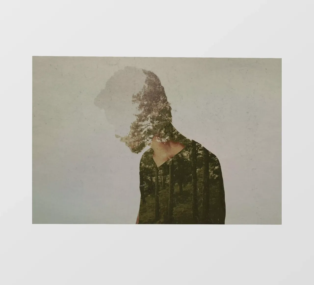 Escape pellicola backlit da Davies Babies