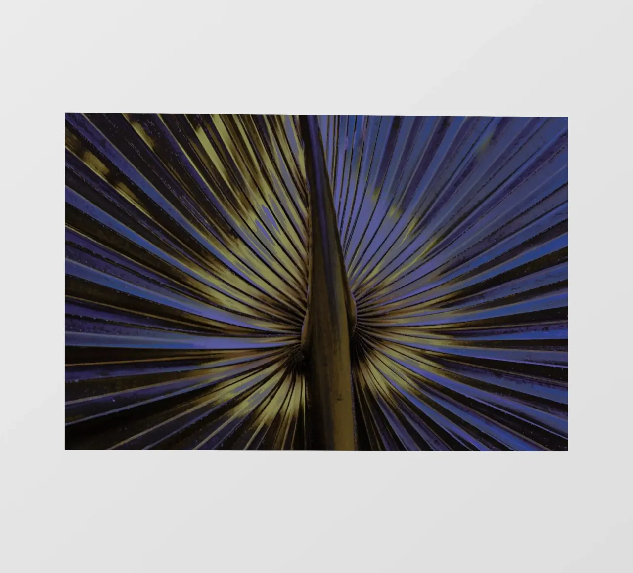 Palm II telo in pvc da Elena Veronese