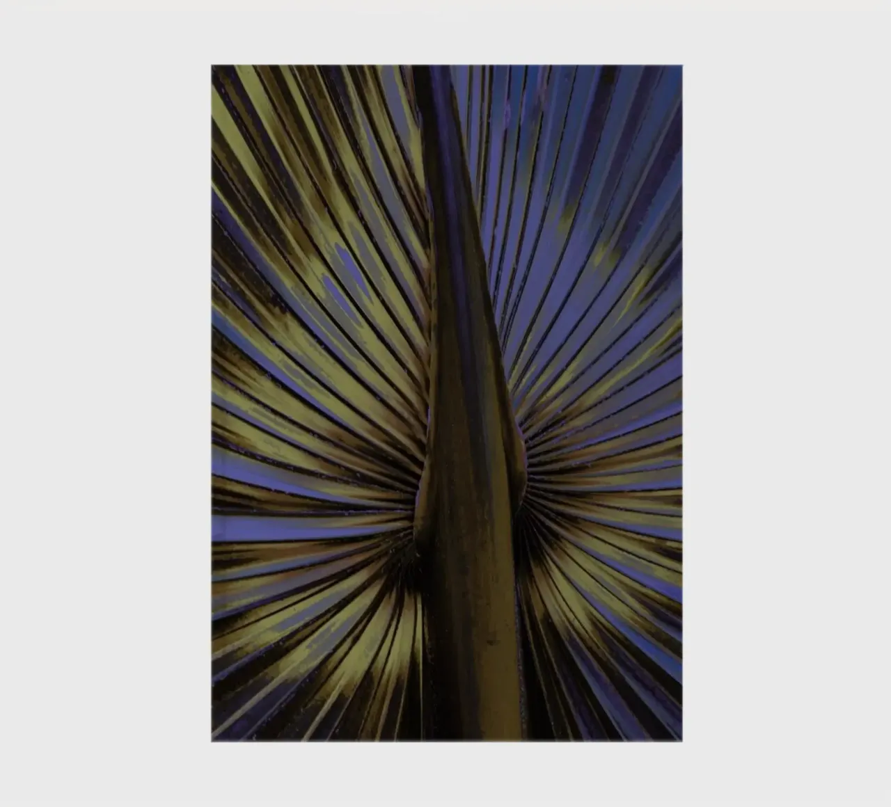 Palm II notebook by Elena Veronese