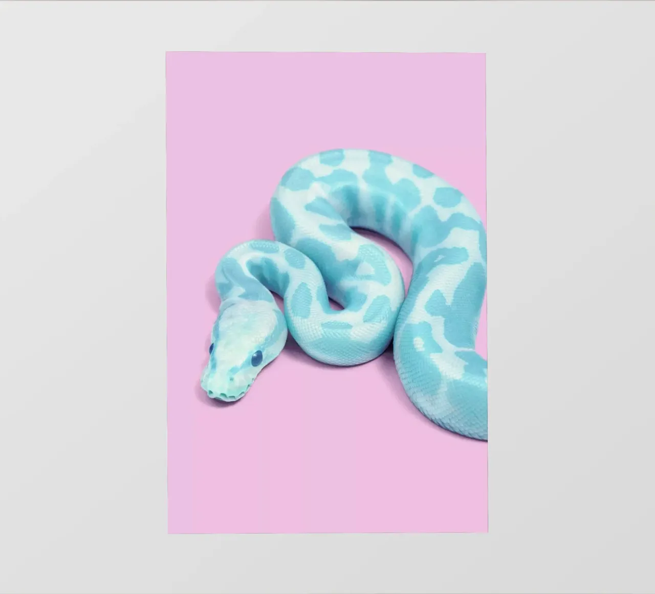 Blue Snake pellicola backlit da Paul Fuentes Design