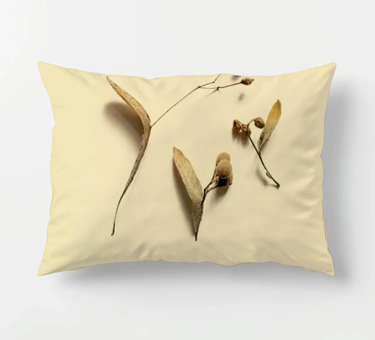 Botanico VI cuscino da Elena Veronese