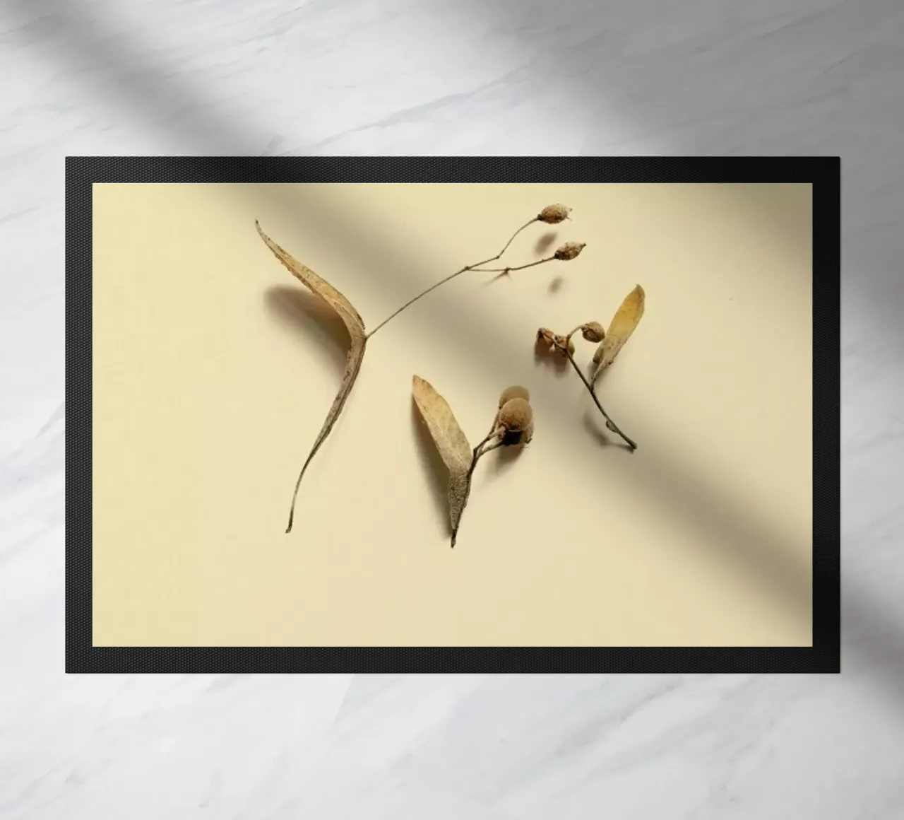 Botanico VI zerbino da Elena Veronese