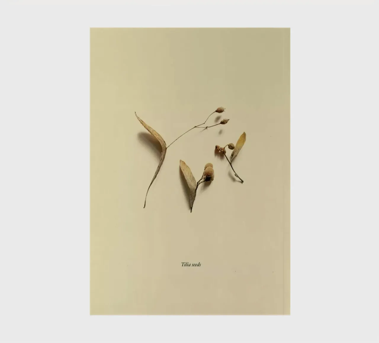 Botanico VI notebook by Elena Veronese