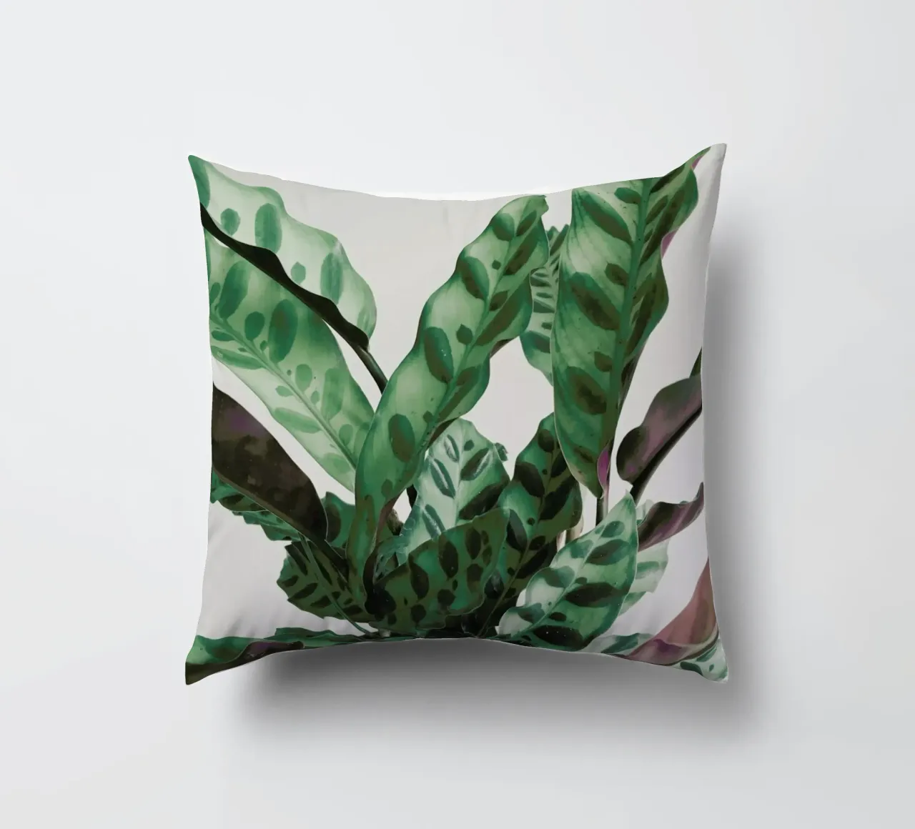 Pattern cuscino da Cassia Beck Photography