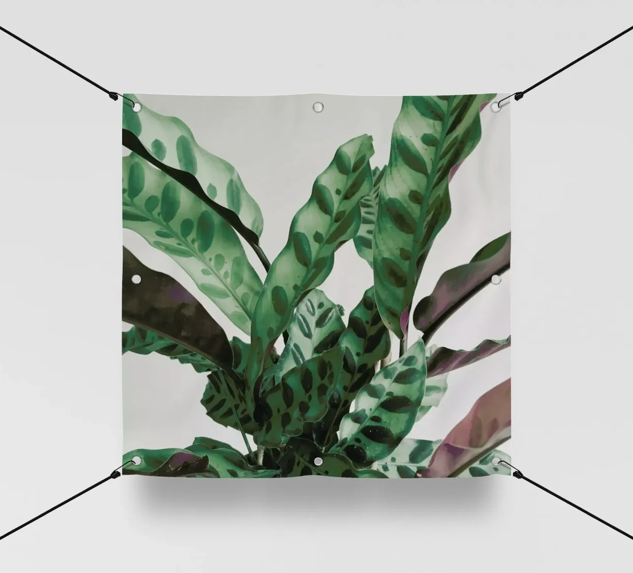 Pattern pvc cover by Cassia Beck Photography