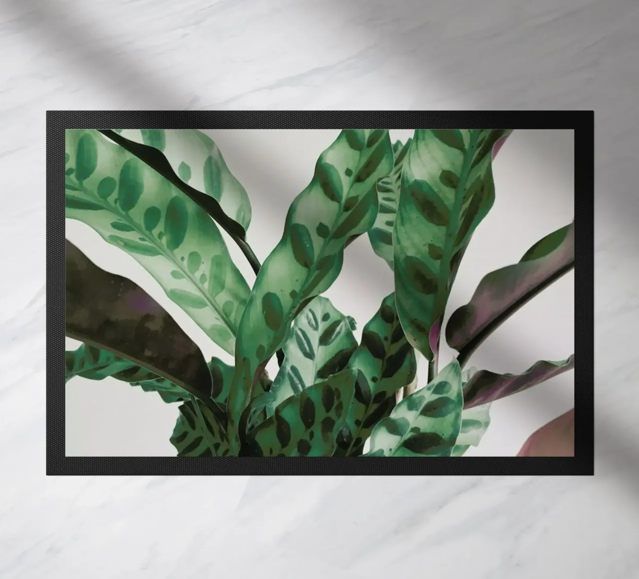 Pattern doormat by Cassia Beck Photography