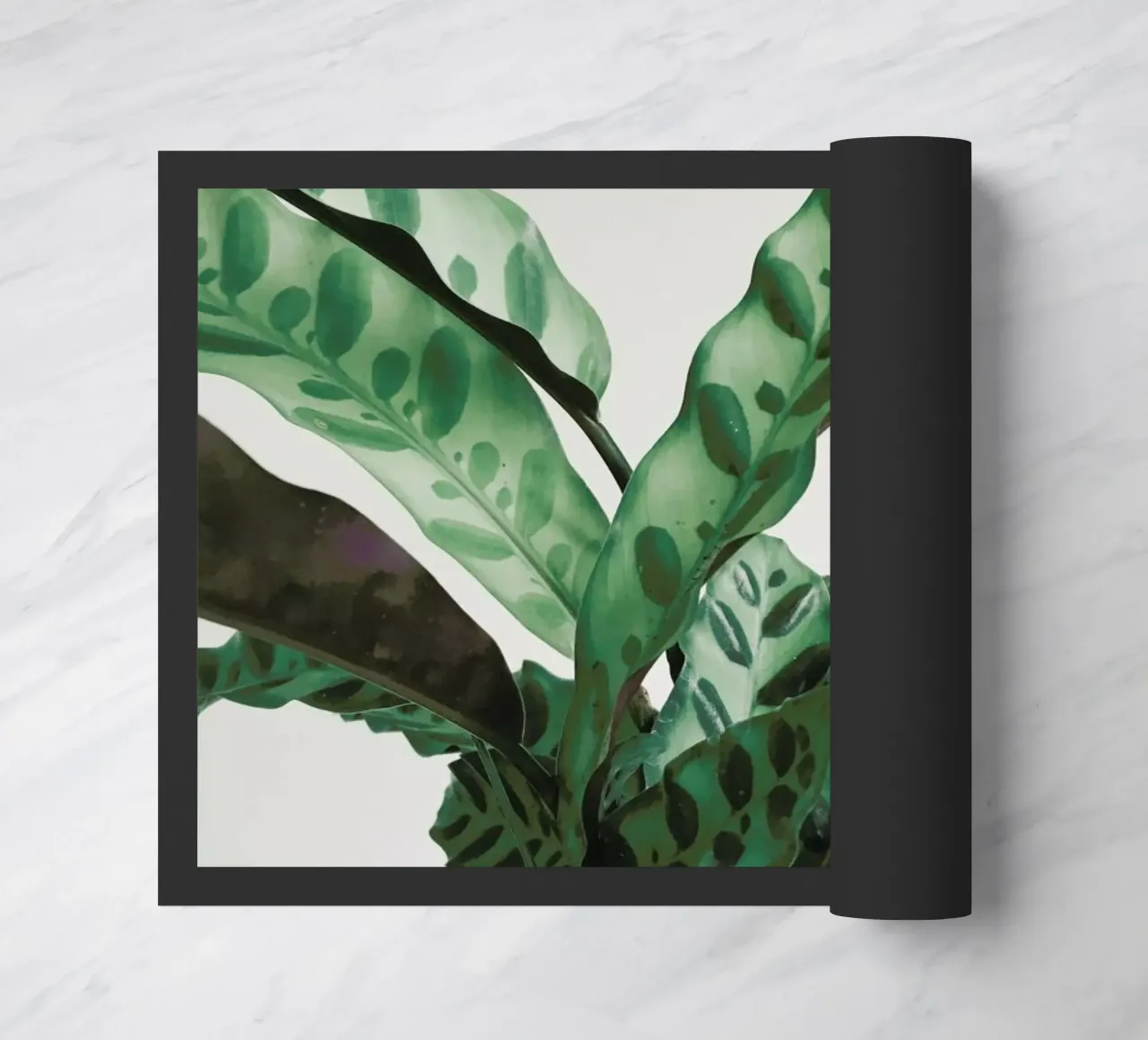 Pattern doormat by Cassia Beck Photography