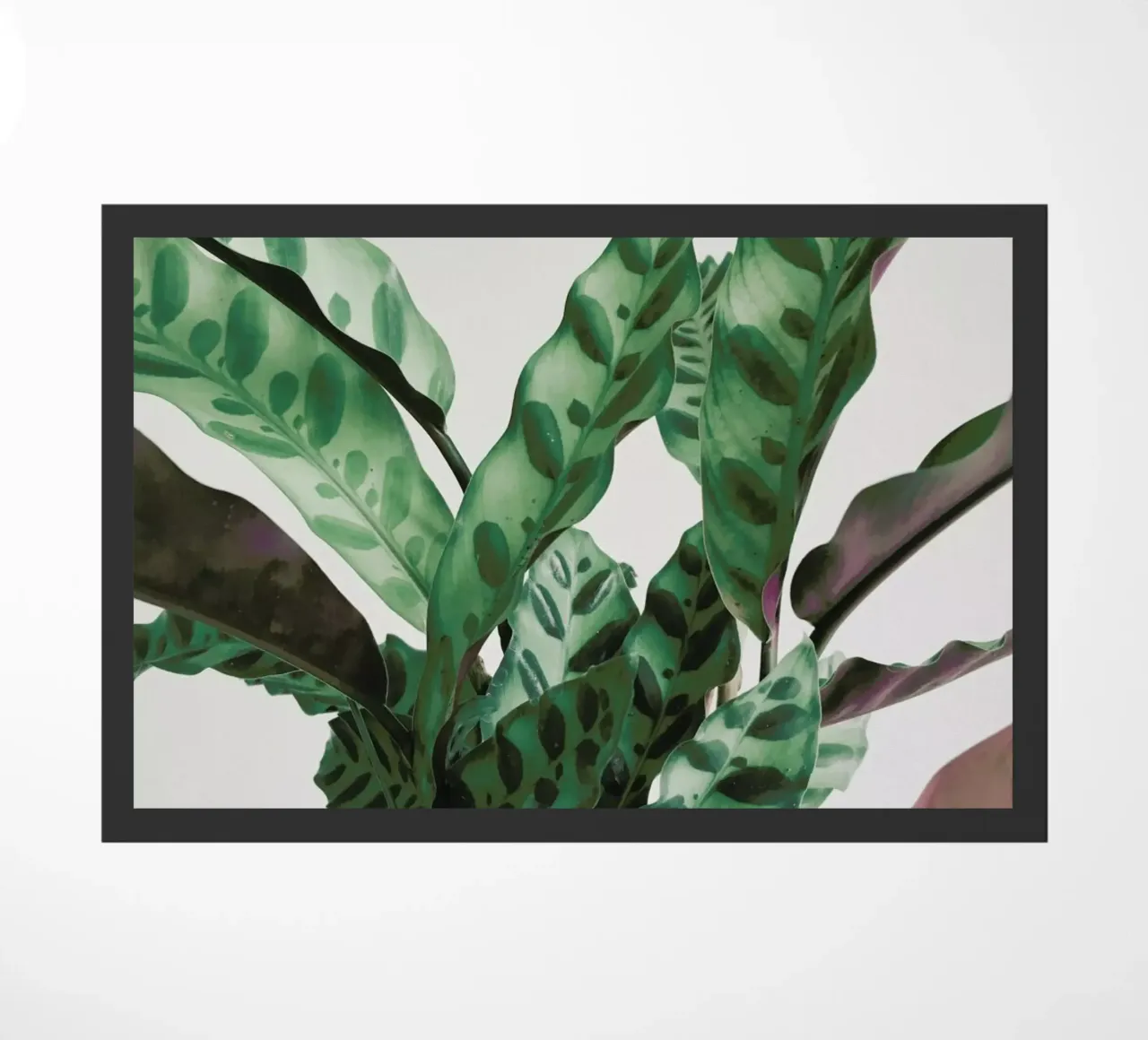 Pattern doormat by Cassia Beck Photography