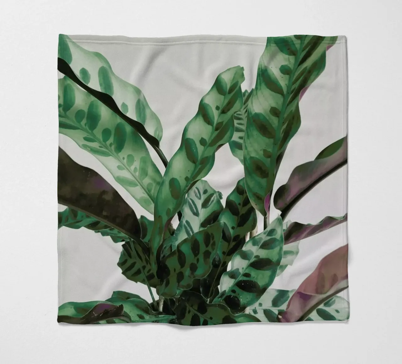 Pattern coperta in pile da Cassia Beck Photography