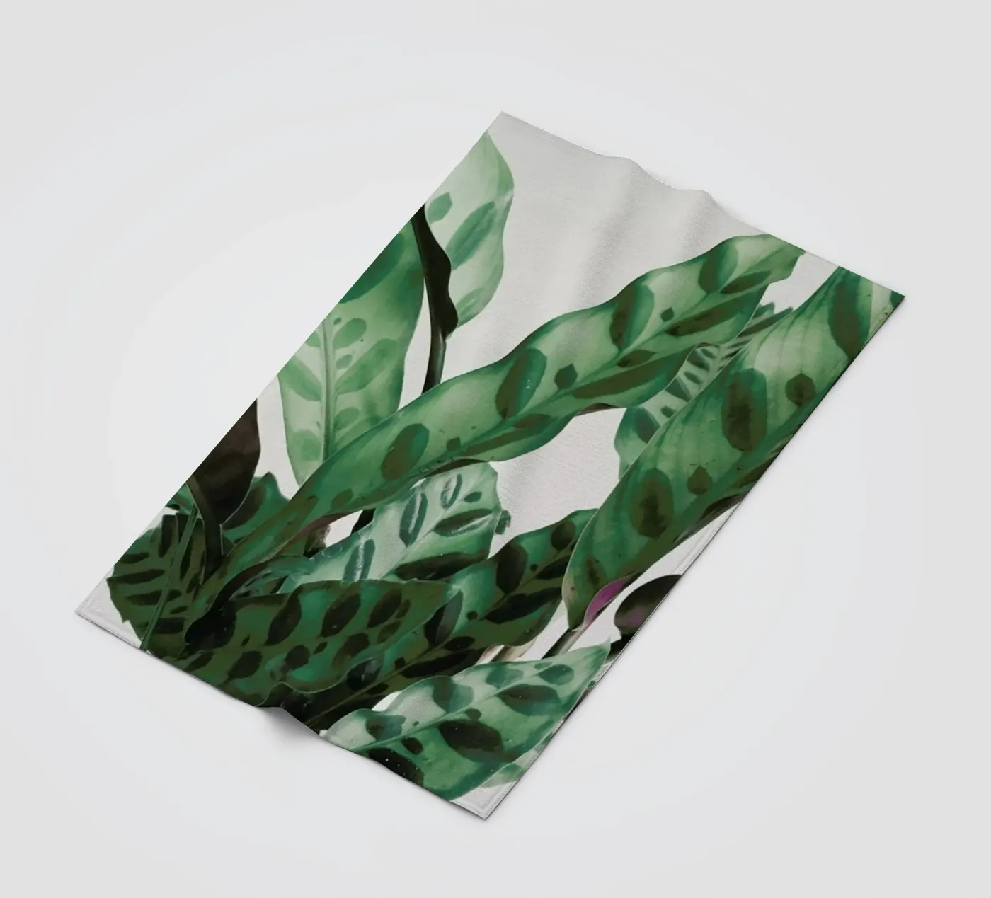 Pattern coperta in pile da Cassia Beck Photography