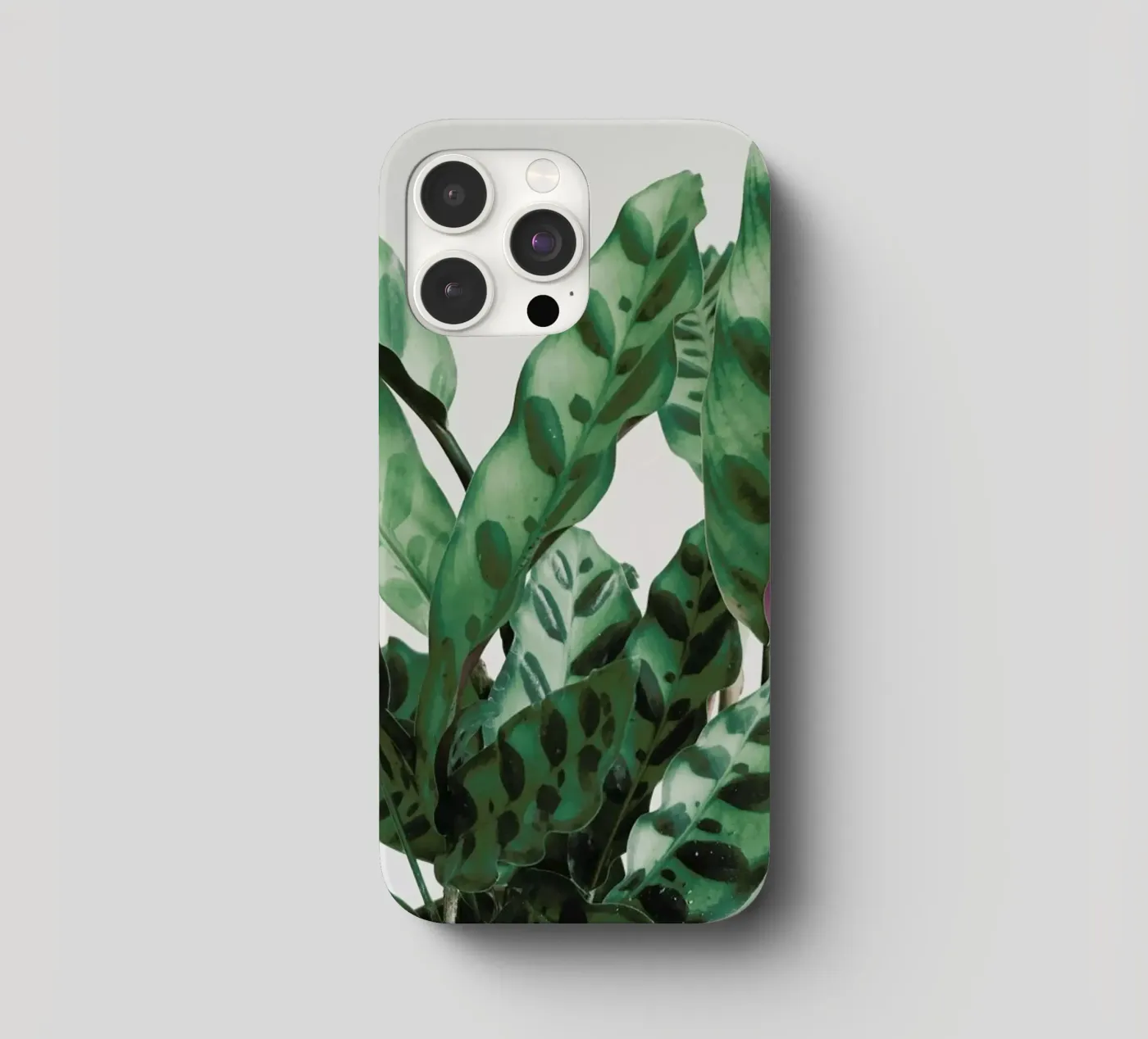 Pattern iphone case by Cassia Beck Photography
