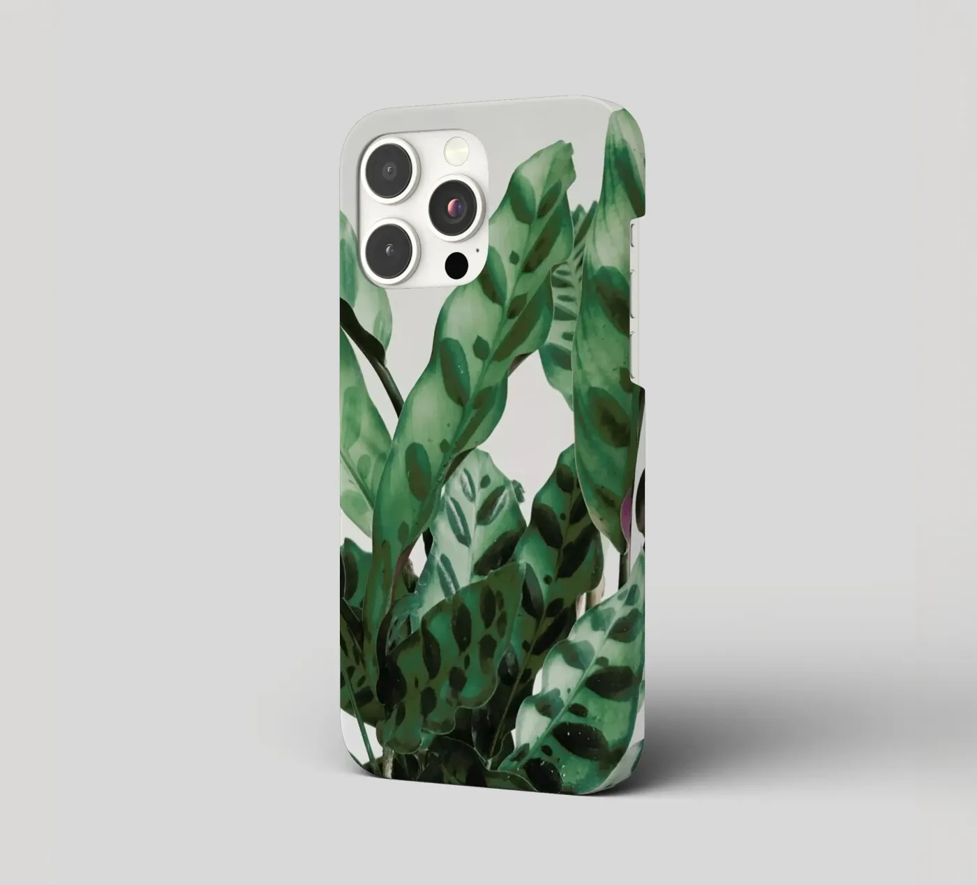 Pattern iphone case by Cassia Beck Photography