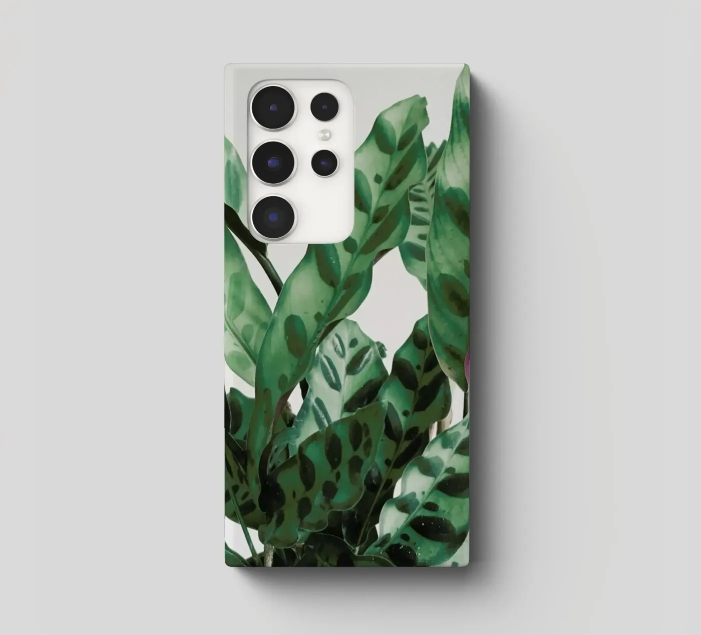 Pattern samsung phone case by Cassia Beck Photography