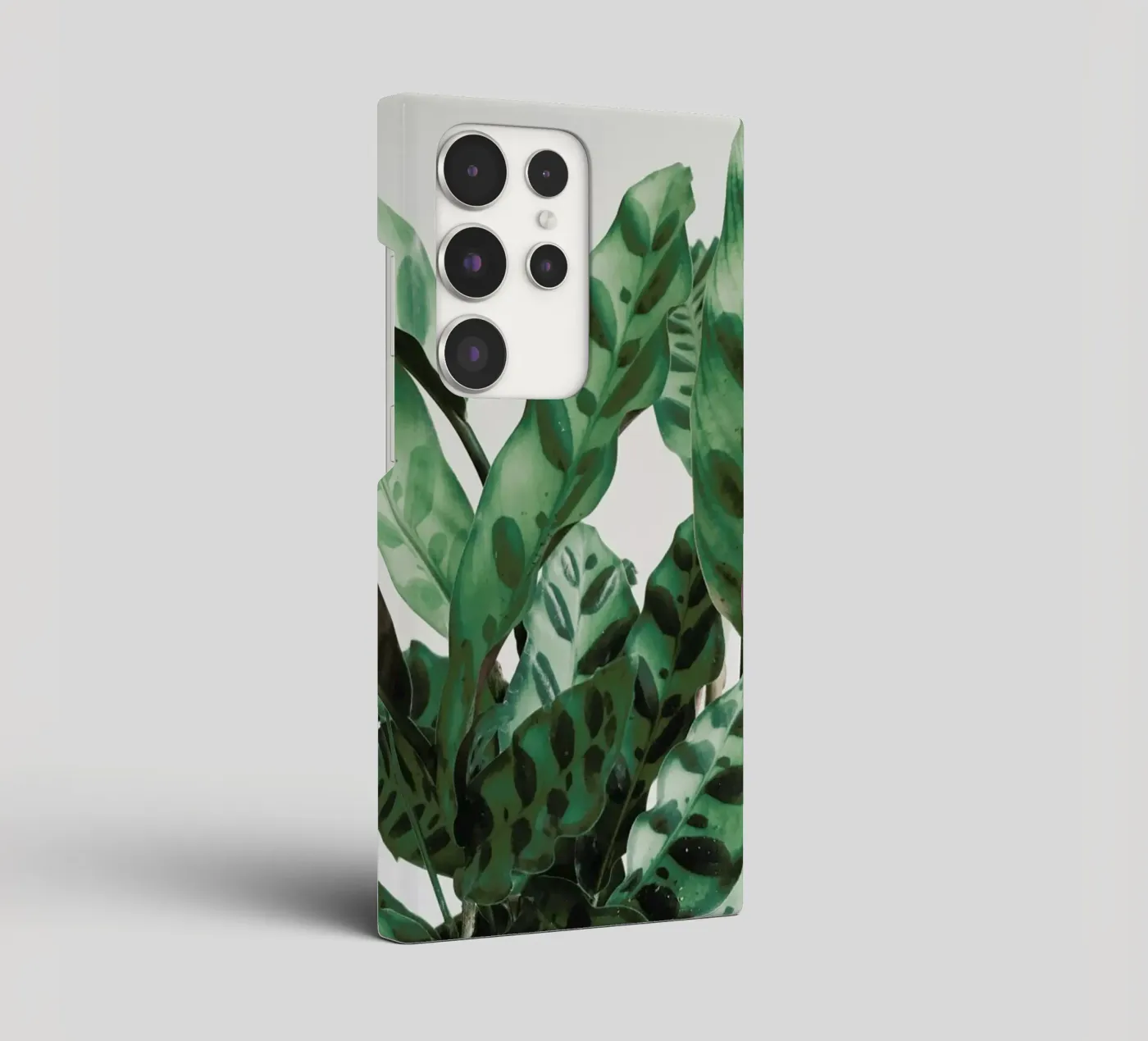 Pattern samsung phone case by Cassia Beck Photography