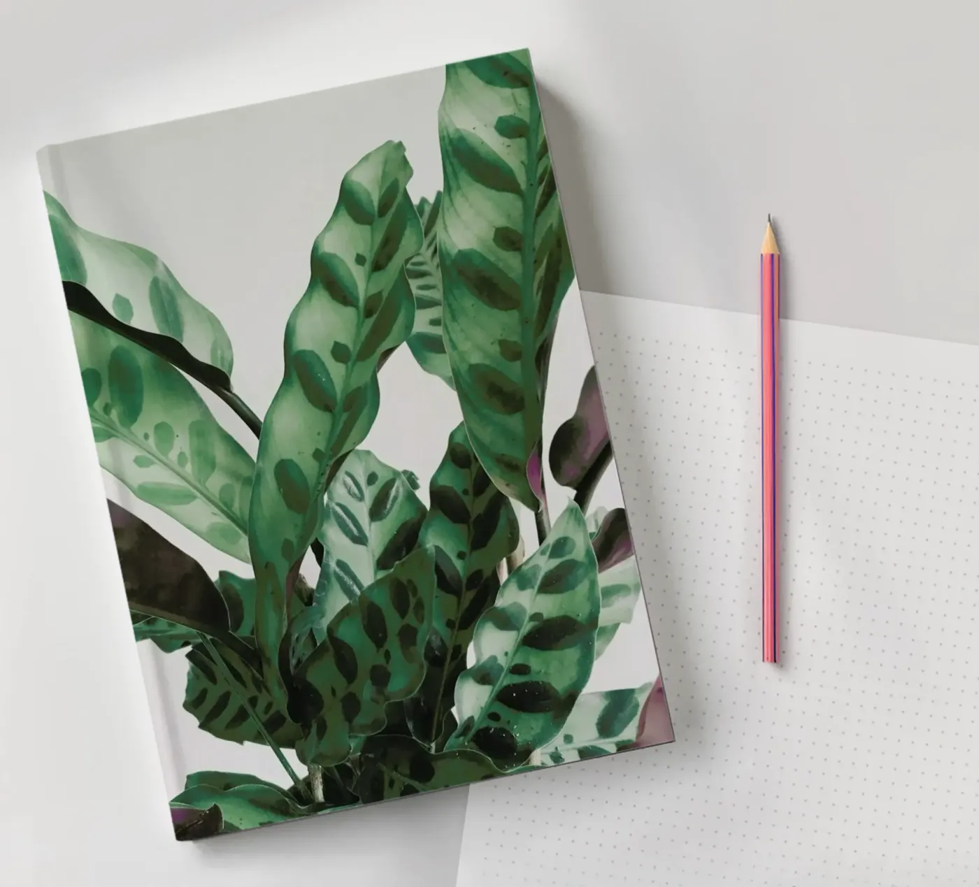 Pattern notebook by Cassia Beck Photography