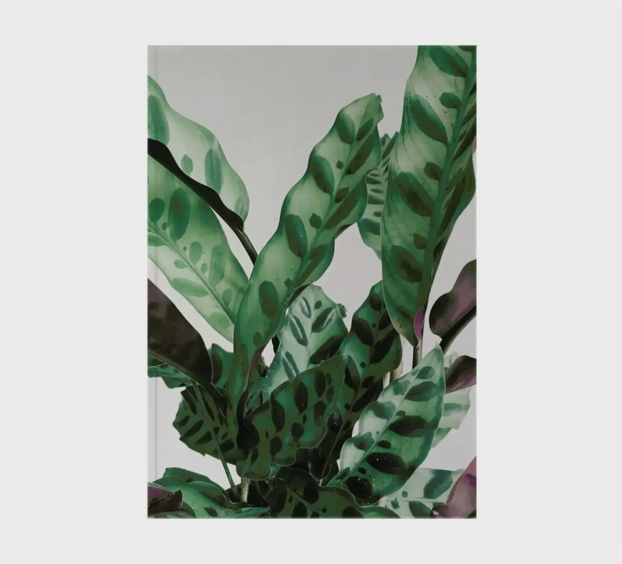 Pattern notebook by Cassia Beck Photography