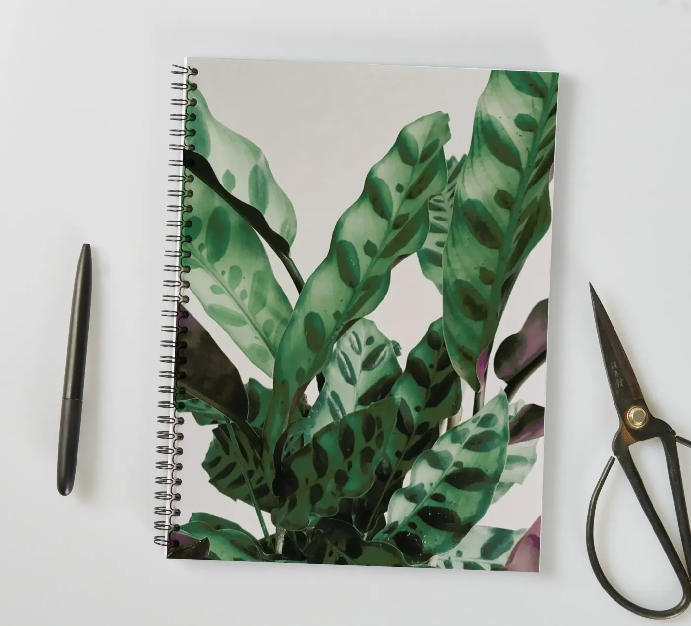 Pattern spiral notebook by Cassia Beck Photography
