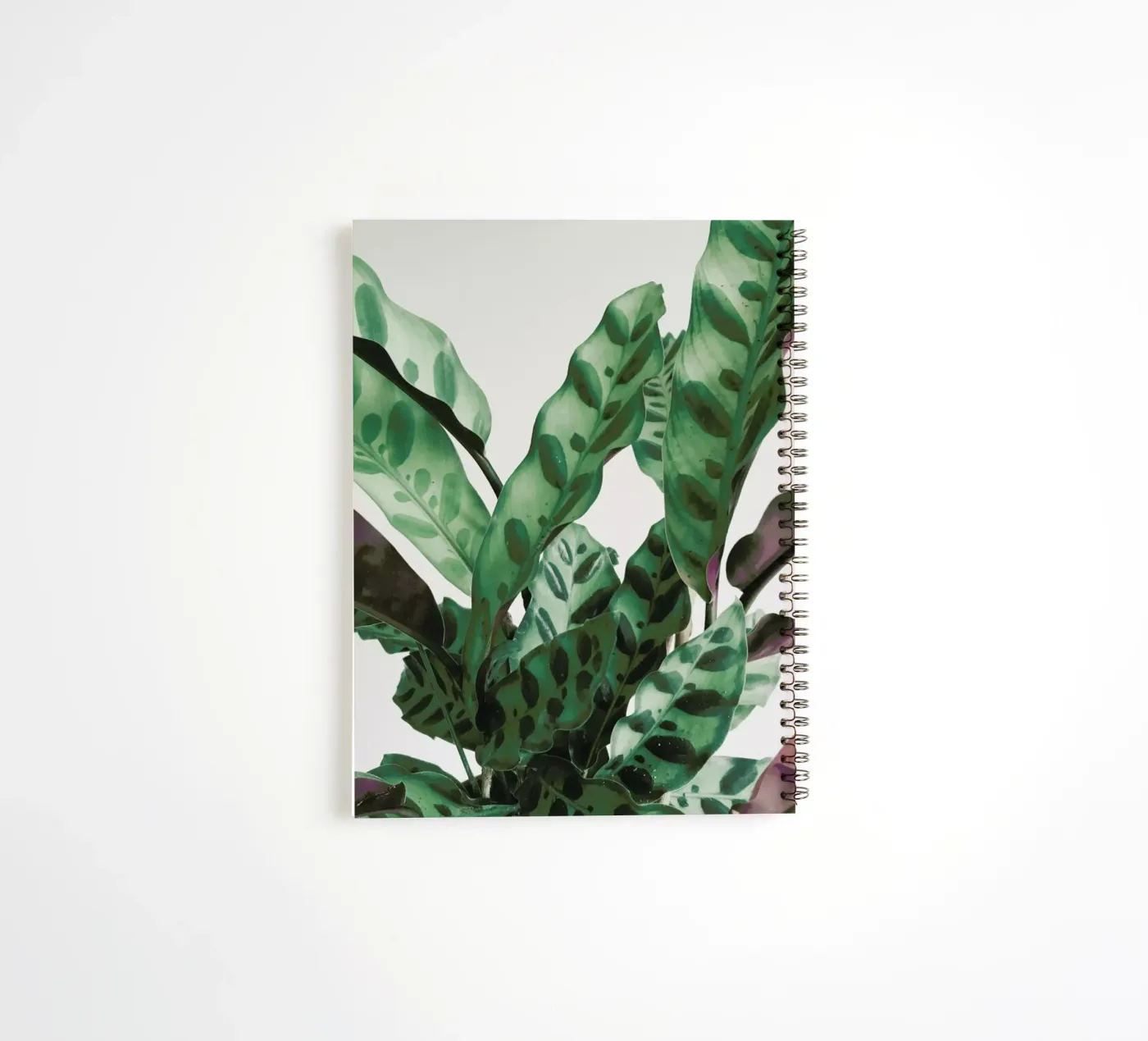 Pattern spiral notebook by Cassia Beck Photography