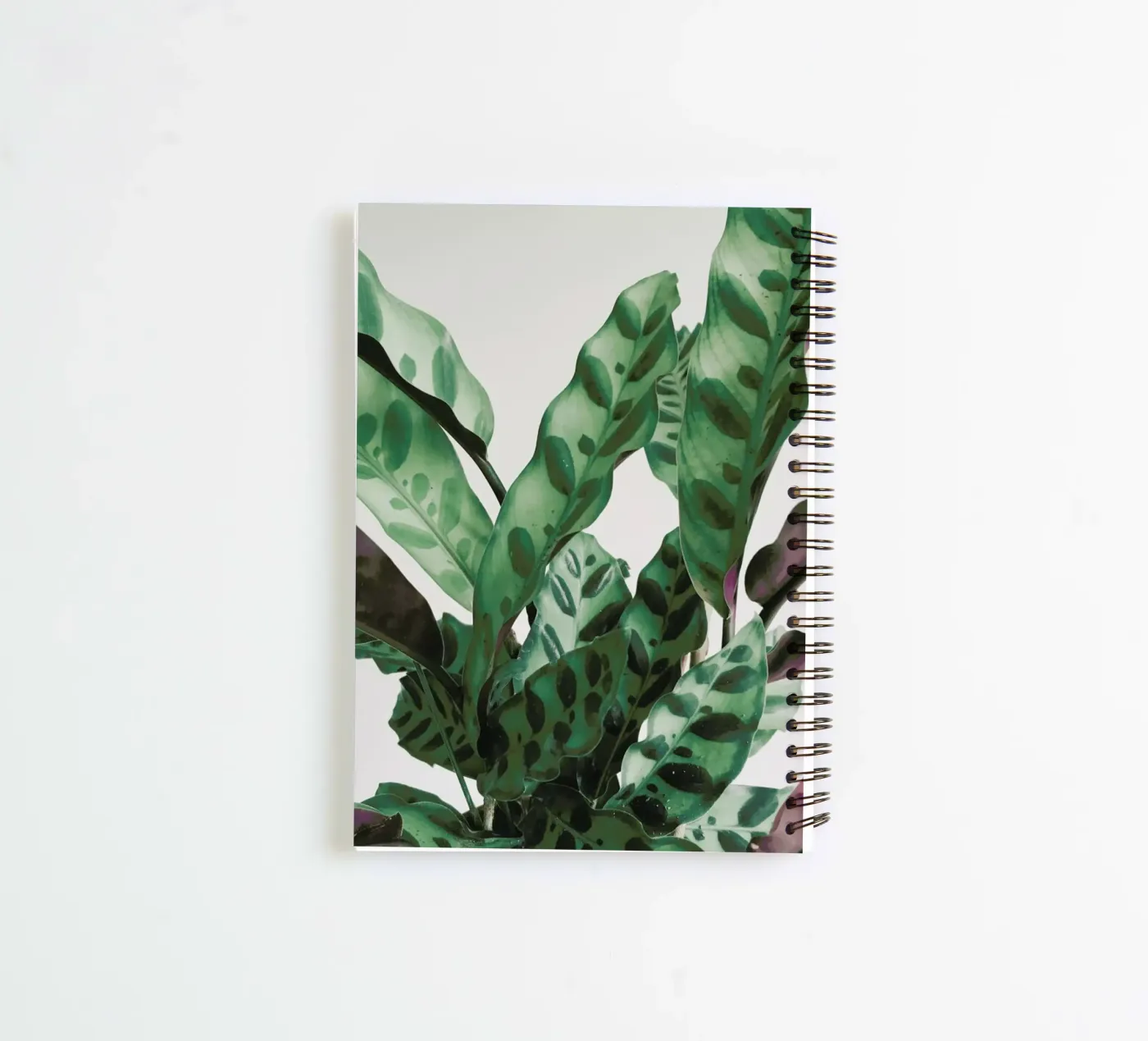 Pattern spiral notebook by Cassia Beck Photography