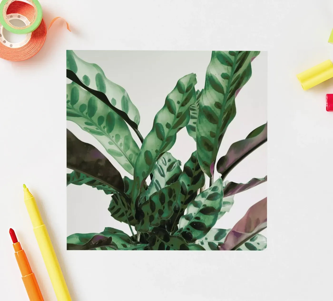 Pattern Sticker von Cassia Beck Photography