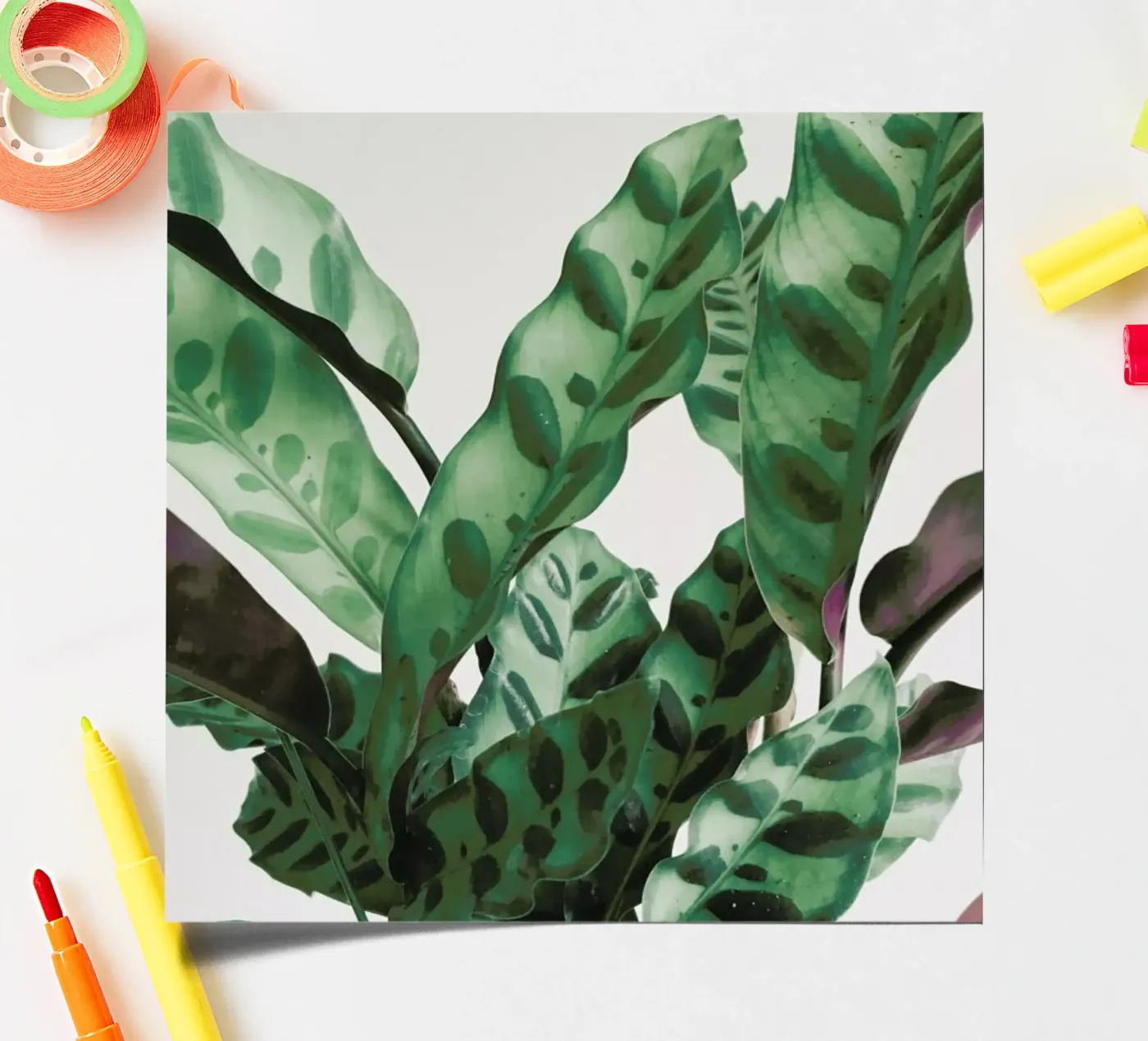 Pattern planche autocollant de Cassia Beck Photography