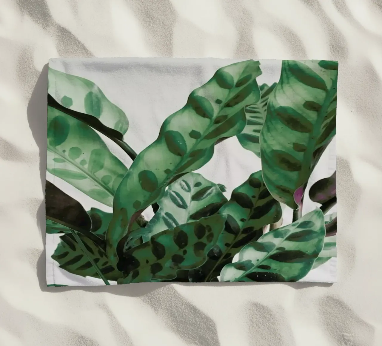 Pattern telo mare da Cassia Beck Photography