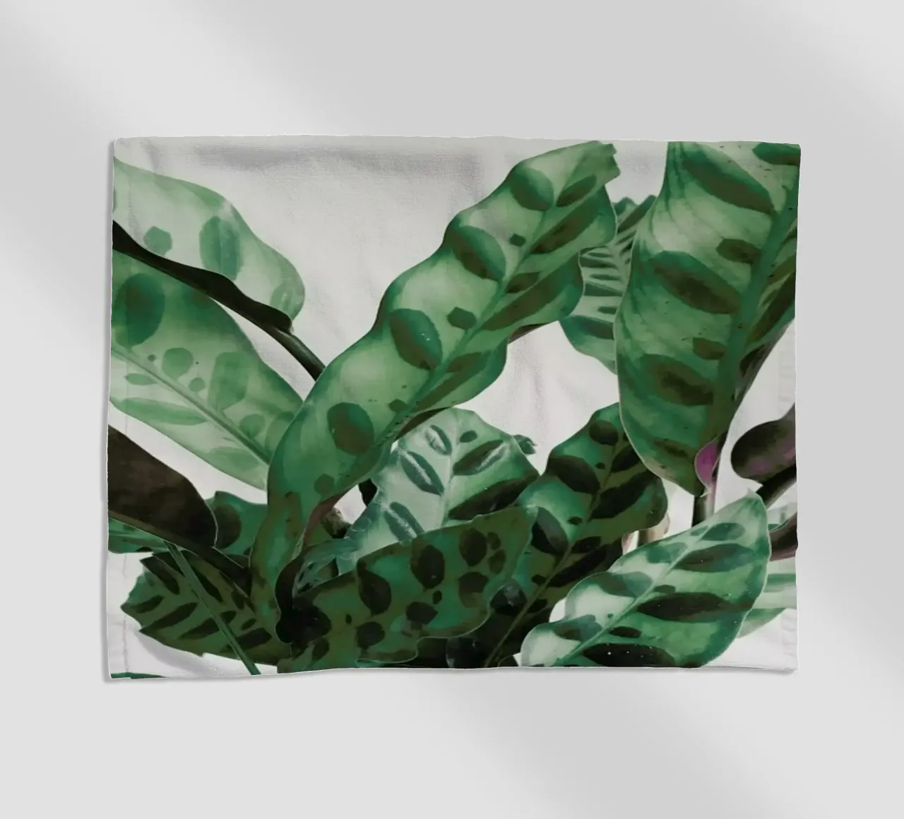 Pattern telo mare da Cassia Beck Photography