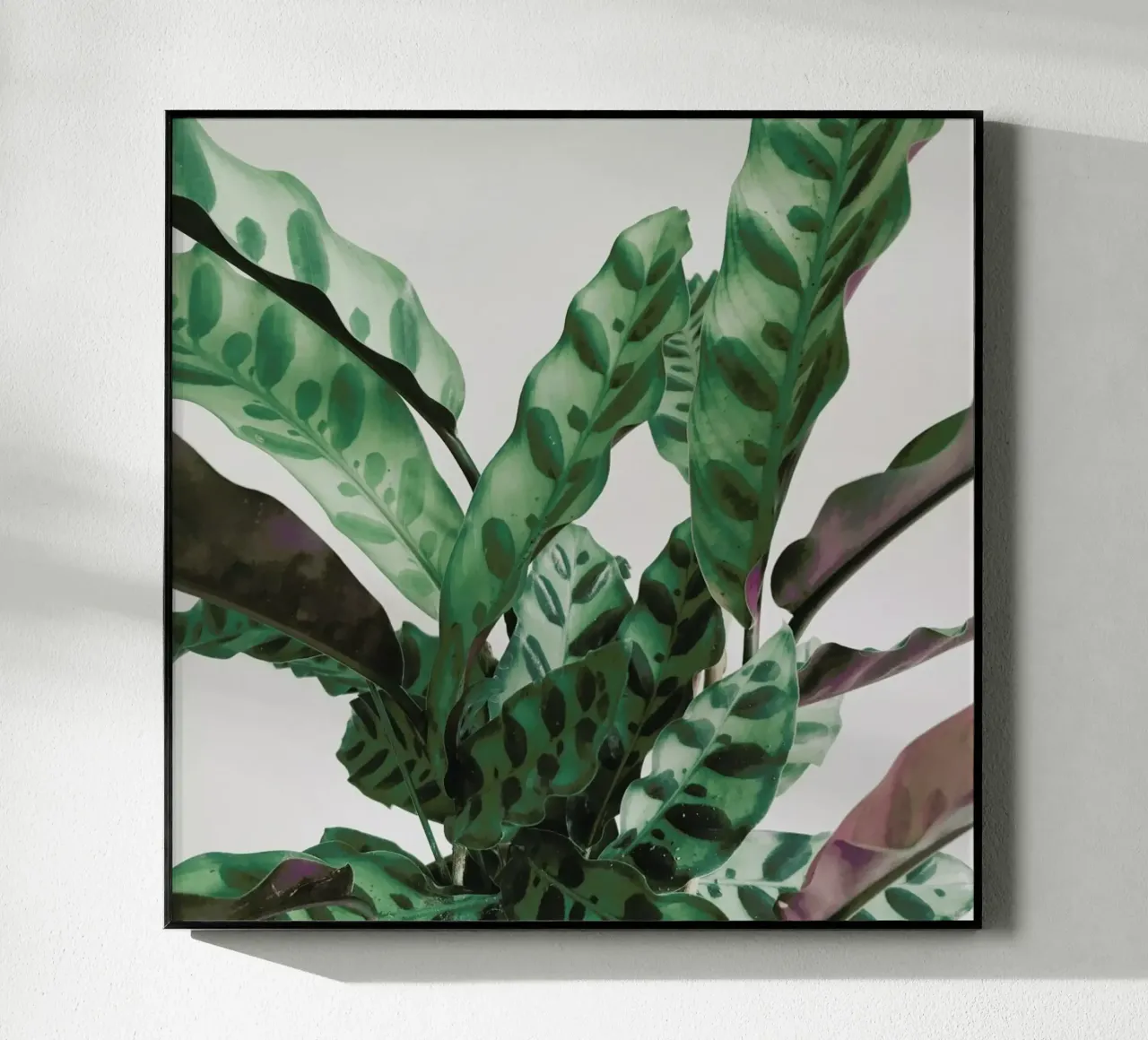 Pattern acrylic glass by Cassia Beck Photography