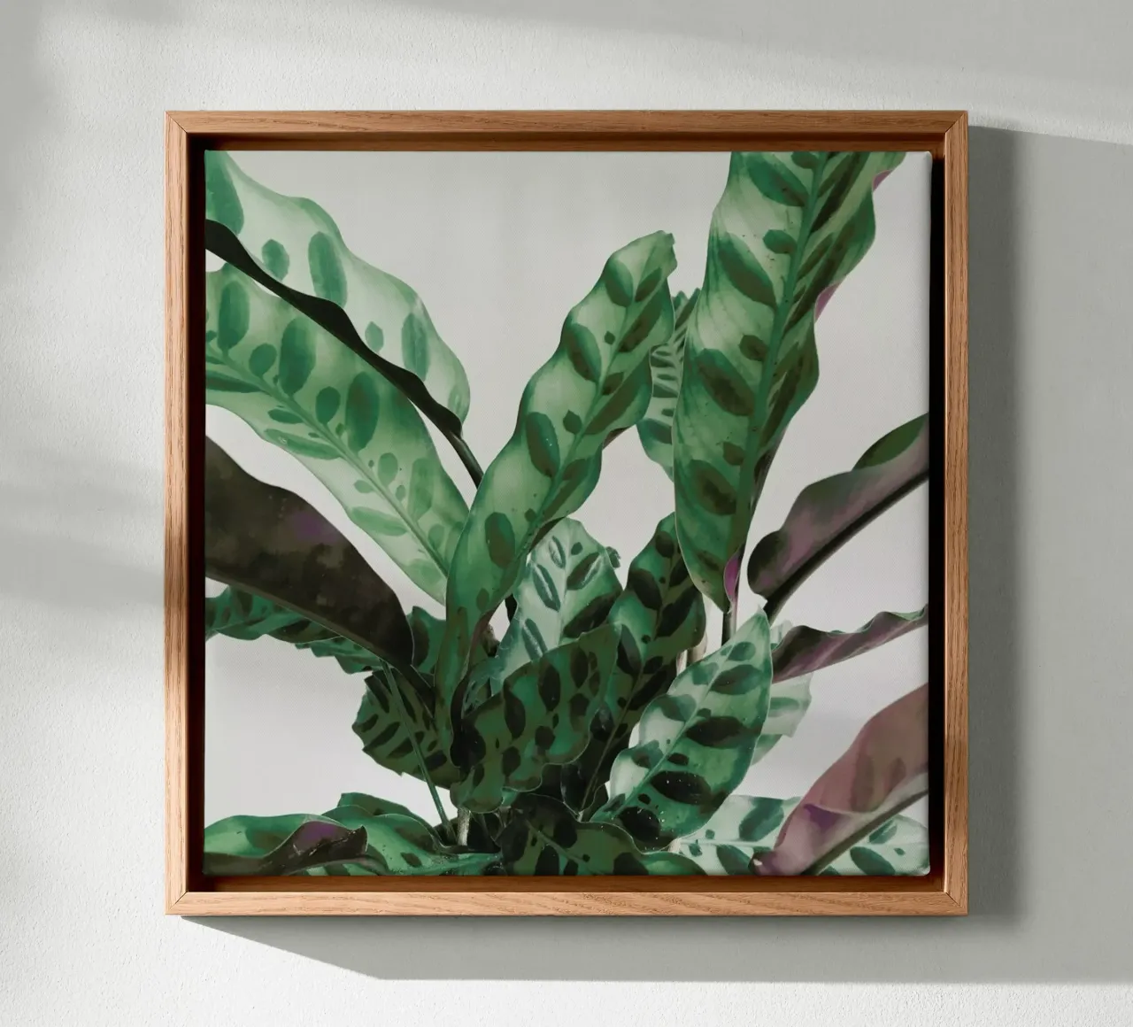 Pattern tela da Cassia Beck Photography