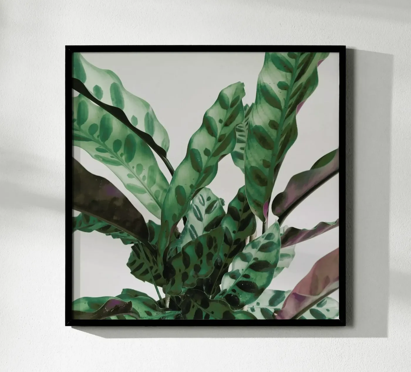 Muster Poster von Cassia Beck Photography