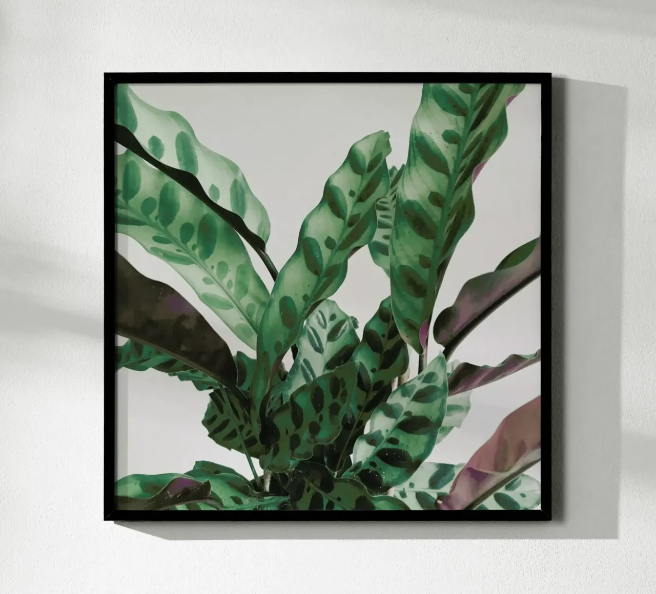 Pattern poster by Cassia Beck Photography