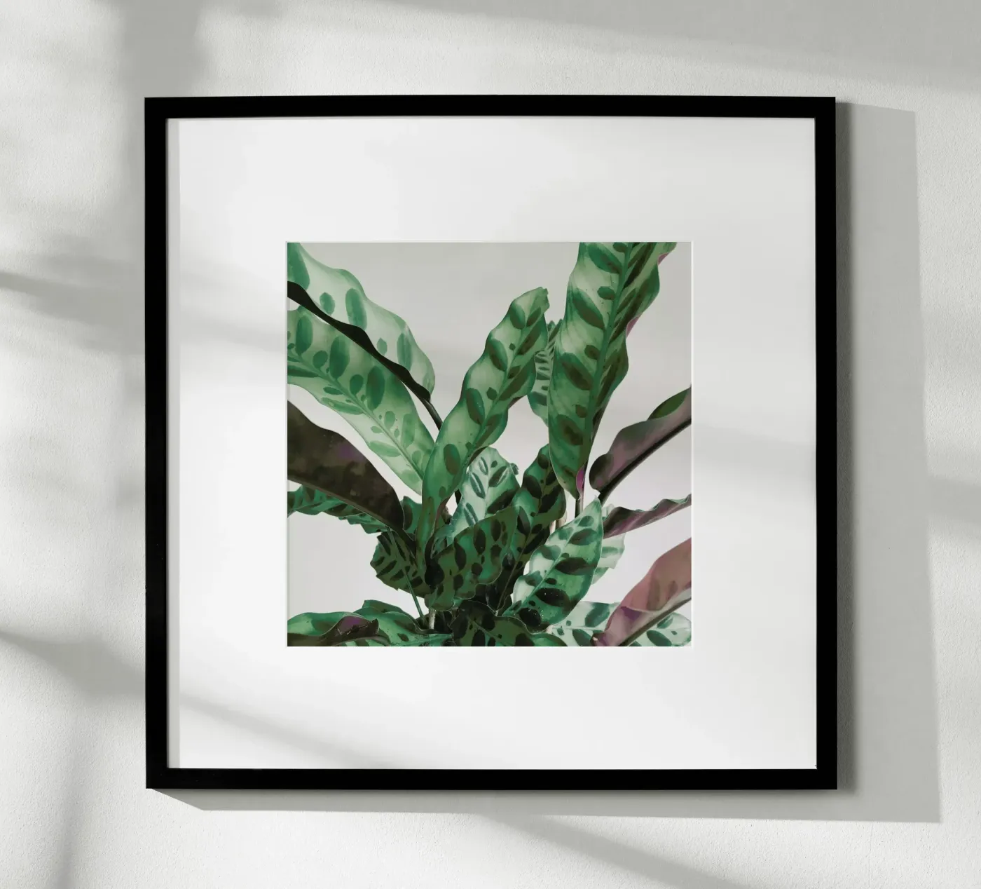 Pattern Poster von Cassia Beck Photography