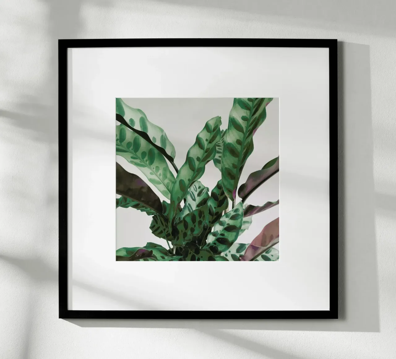 Pattern poster by Cassia Beck Photography