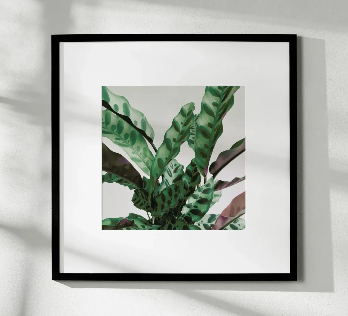 Muster Poster von Cassia Beck Photography