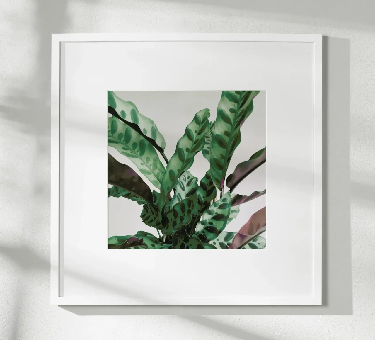 Pattern poster by Cassia Beck Photography