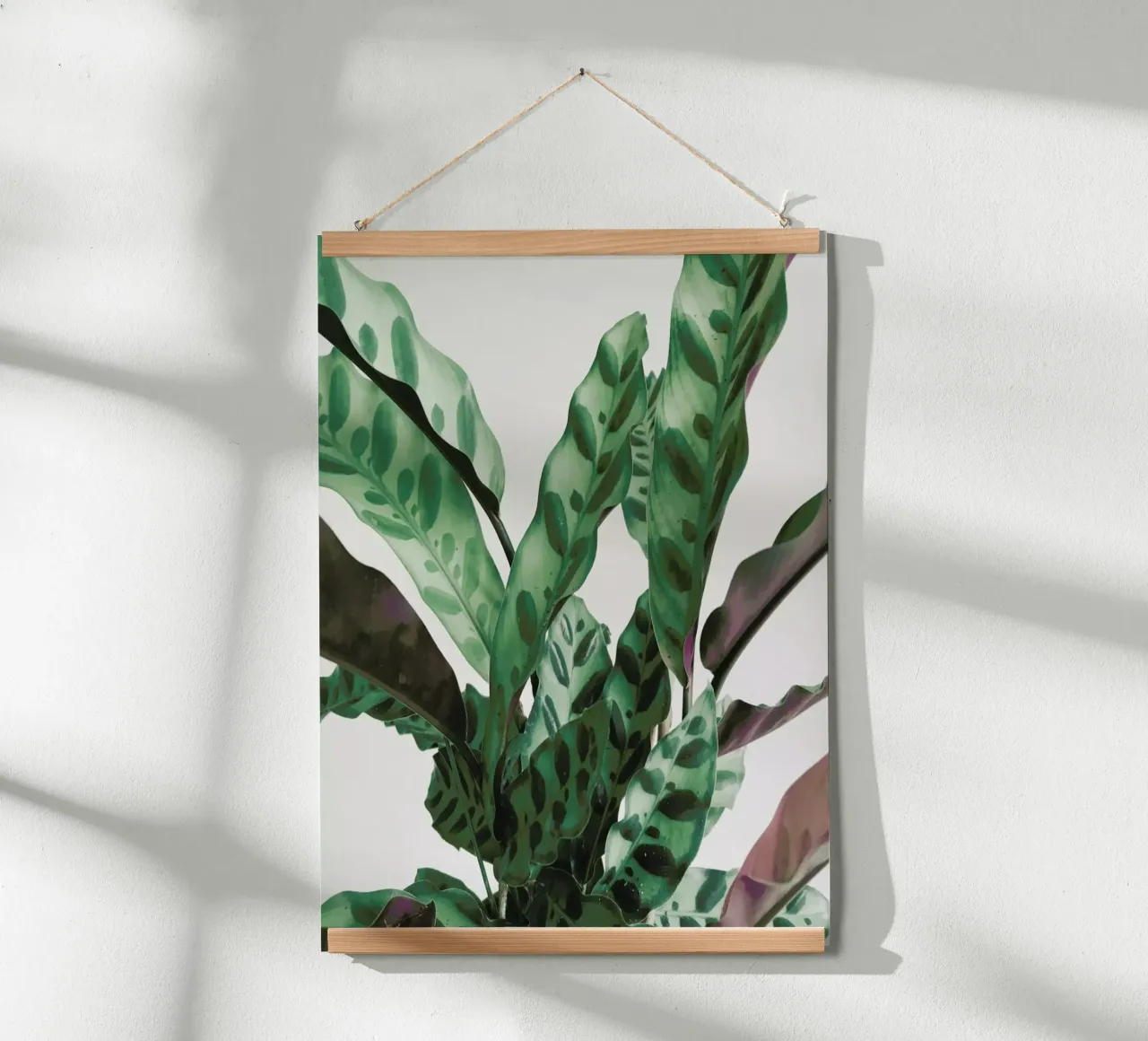 Pattern poster by Cassia Beck Photography