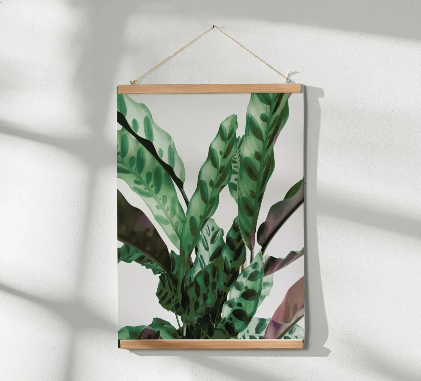 Muster Poster von Cassia Beck Photography