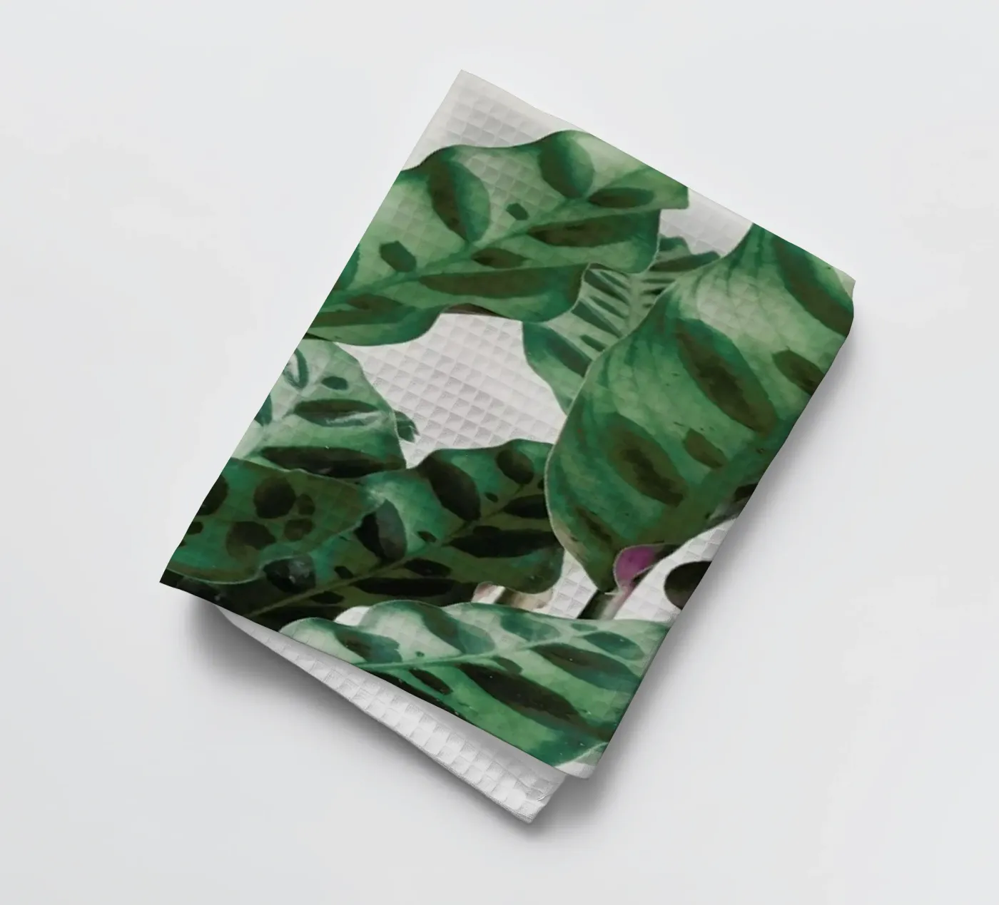 Pattern torchon de Cassia Beck Photography