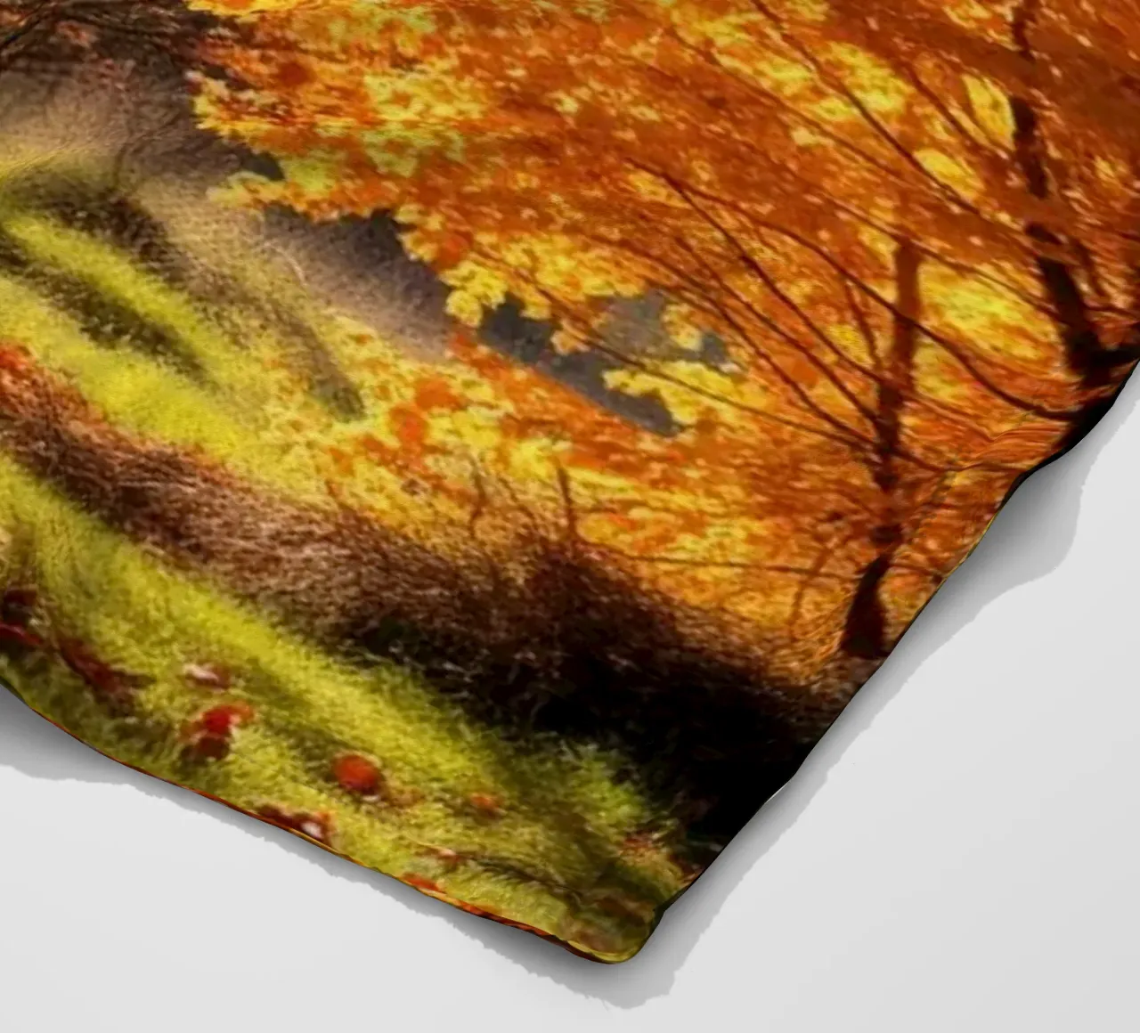 Vibrante fogliame autunnale in una foresta che mostra foglie colorate coperta in pile da DesignDoodle